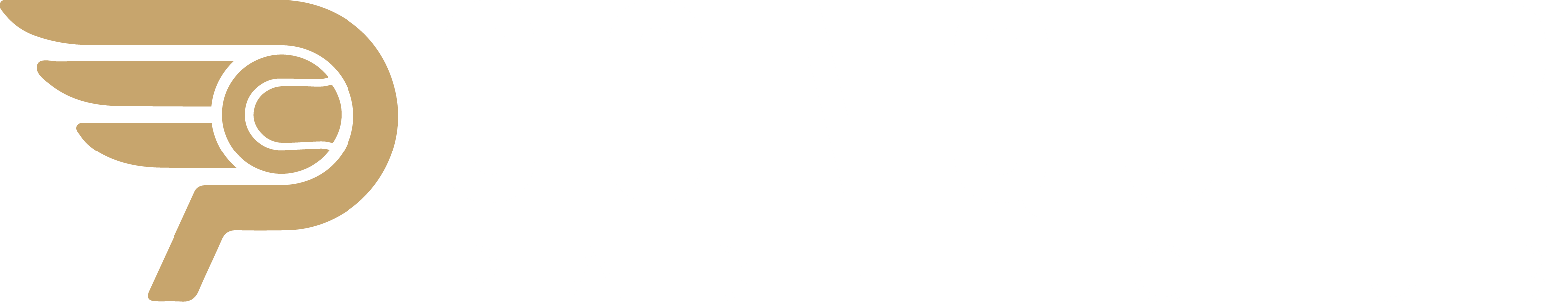 Conquer Padel Tempe