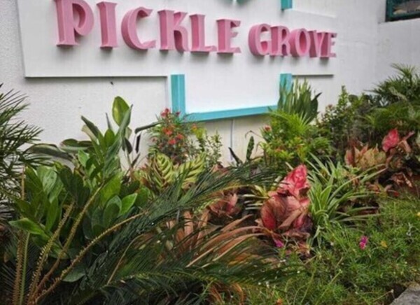 Pickle Grove - Photo 1